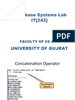 Database Systems Lab IT (243) : Faculty of Cs & It