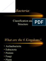 Bacteria:: Classification and Structure