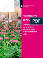 Hollanda'ya Yeni Gelenler: Göçmen Işçiler, Iltica Hakkı Sahipleri, Aile Kuran Kişiler Ve Ailesiyle Birleşen Kişiler