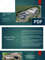 Sewage Treatment: Stages, Benefits, Microorganisms Used: Submitted By:-Balamurugan.V 12 B 12217