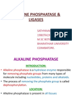 Alkaline Phosphatase and Ligases