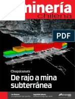 MCH 457 Julio PDF