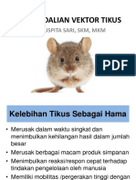 PENGENDALIAN TIKUS