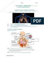 EL APARATO RESPIRATORIO 2 - 14 de Agosto