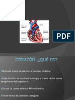 2-Corazon Anatomia 2012