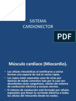 3-Cardionector 2012