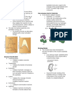 Enzymes Enzyme Catalysis