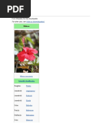 Download Hibiscus by Prem Prabha SN48693048 doc pdf