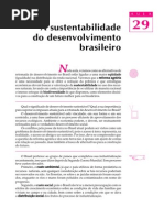 29 - A sustentabilidade do desenvolvimento brasileiro