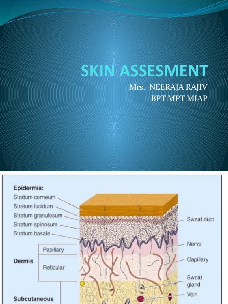Skin Assessment for Clinicians | PDF | Wellness | Science & Mathematics