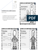 2020 Actividad Sobre Los Sistemas Del Cuerpo Humano