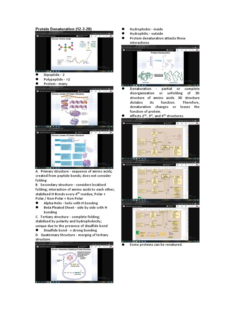 Protein Denaturation (12-3-20) | PDF | Denaturation (Biochemistry ...