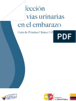 MSP GPC Ivu en El Embarazo 2013 PDF