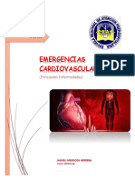 Enfermedades Cardiovasculares