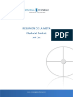 RESUMEN DE LA META.pdf