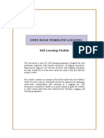 Open Hole Wireline Logging