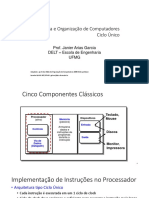 Ciclo - Unico