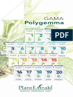 Gama Polygemma PDF
