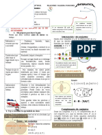 6° Gta Conceptos Basicos de Funciones 1