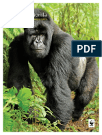 Mountain Gorilla: WWF Wildlife and Climate Change Series