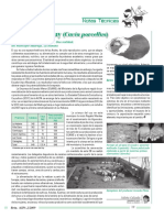 13 Crianza Cuy PDF