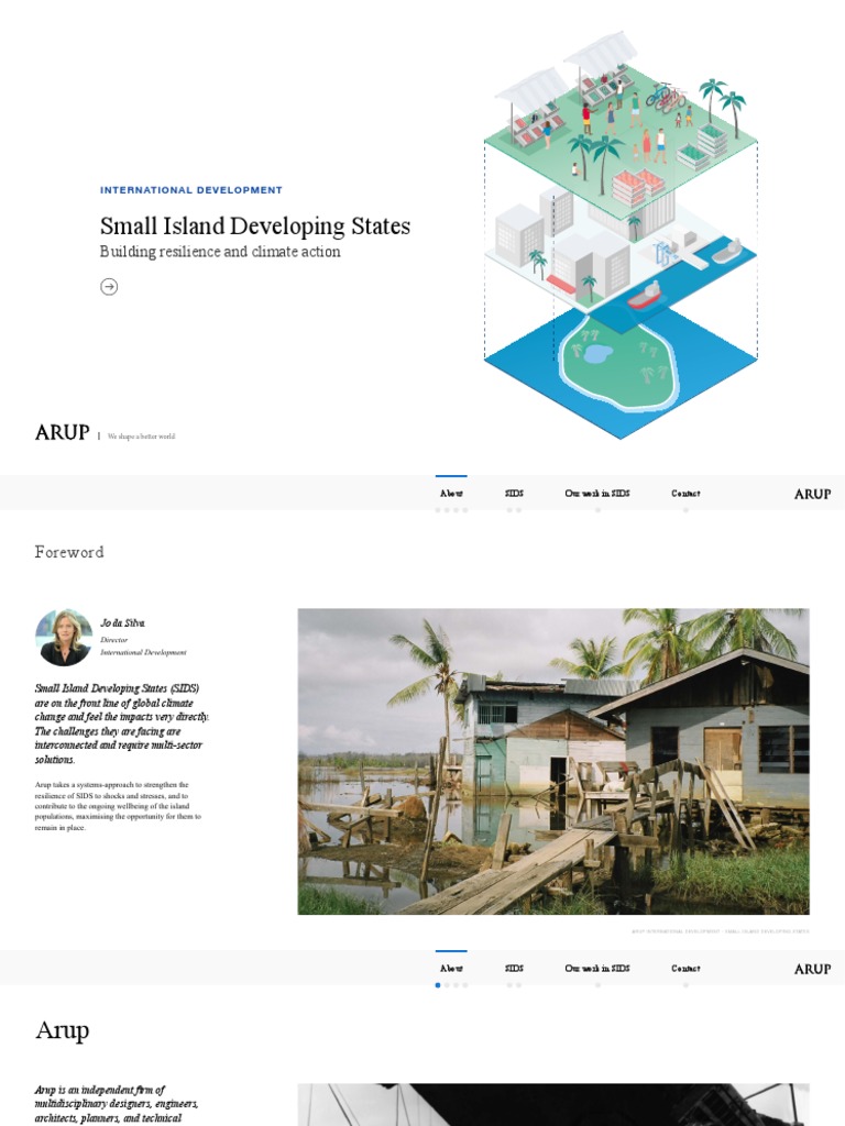 Small Island Developing States Building Resilience and Climate Action ...