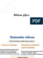 Bifazne Gljive