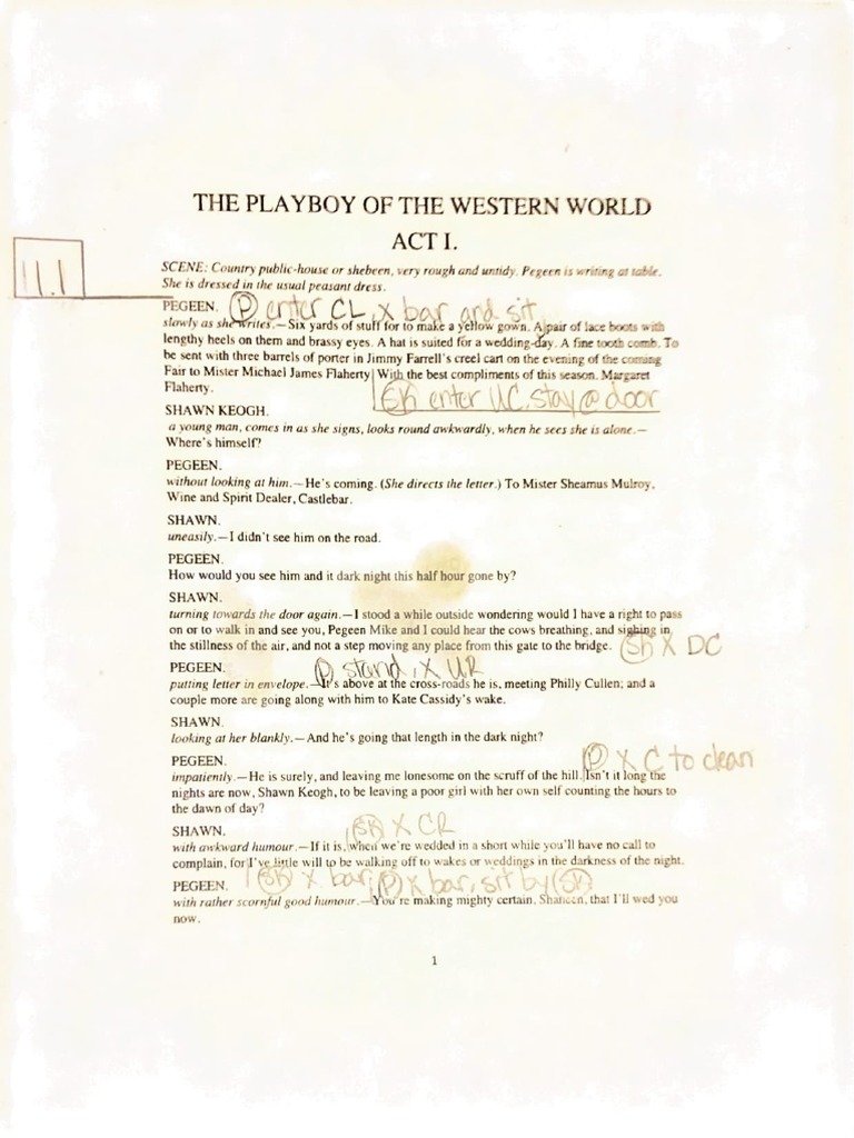 Blocking Script PDF Nature