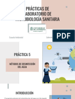 Practica Desinfeccion de Agua PDF
