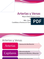 Clase 4. Arterias y Venas PDF