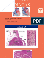 Válvulas Cardiacas - muestras