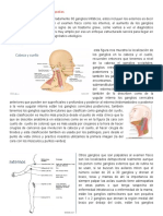 Enfoque Del Paciente Con Adenopatías