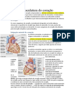 Vasculatura Do Coração