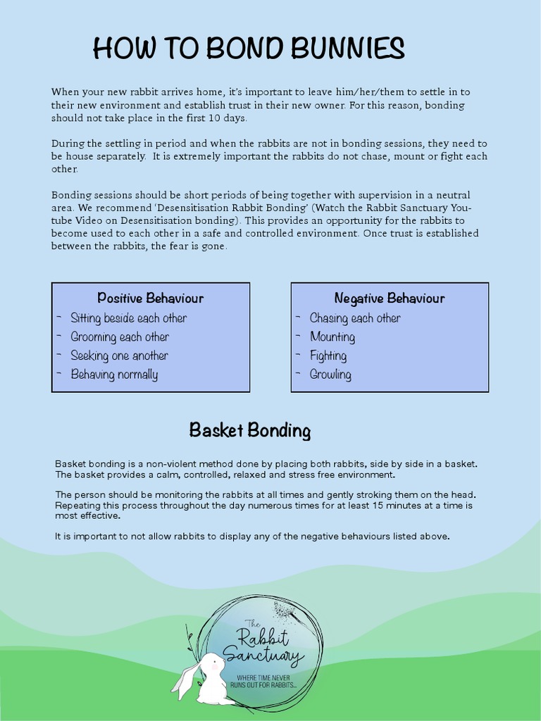 Effective Rabbit Bonding Techniques | PDF