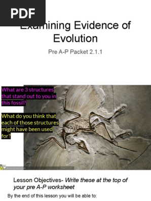 examining evidence of evolution pre a-p  1 