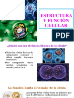 Estructura y Función Celular-1