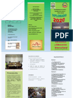 Publicación21 PDF