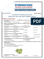 TS - VII Class (C4) Biology Practice Sheet For Online Classes 2 (Nutrition in Plants)