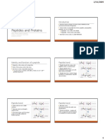 05 - Peptides and Proteins PDF