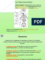 Endocrino