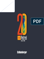 Petrel 20 Years Book.pdf