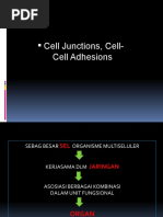 Cell Junctions, Cell-Cell Adhesions