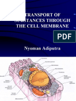 Lecture 1 THE CELL MEMBRANE