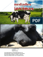 enfermedades infecciosas bacterianas  bovinos