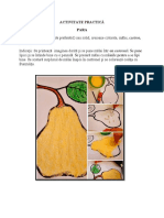 Joi - DOS - Activitate Practică - para PDF