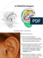 Escola Francesa de Auriculoterapia