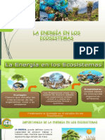 La Energia en Los Ecosistemas PDF