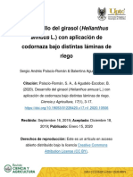 Dialnet-DesarrolloDelGirasolHelianthusAnnuusLConAplicacion-7449519 (1).pdf