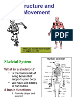 Structure and Movement: What You Should Read! Chapter 17 Pages 484 - 495