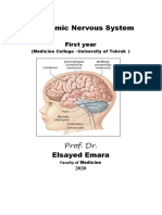 Autonomic Nervous System: Prof. DR